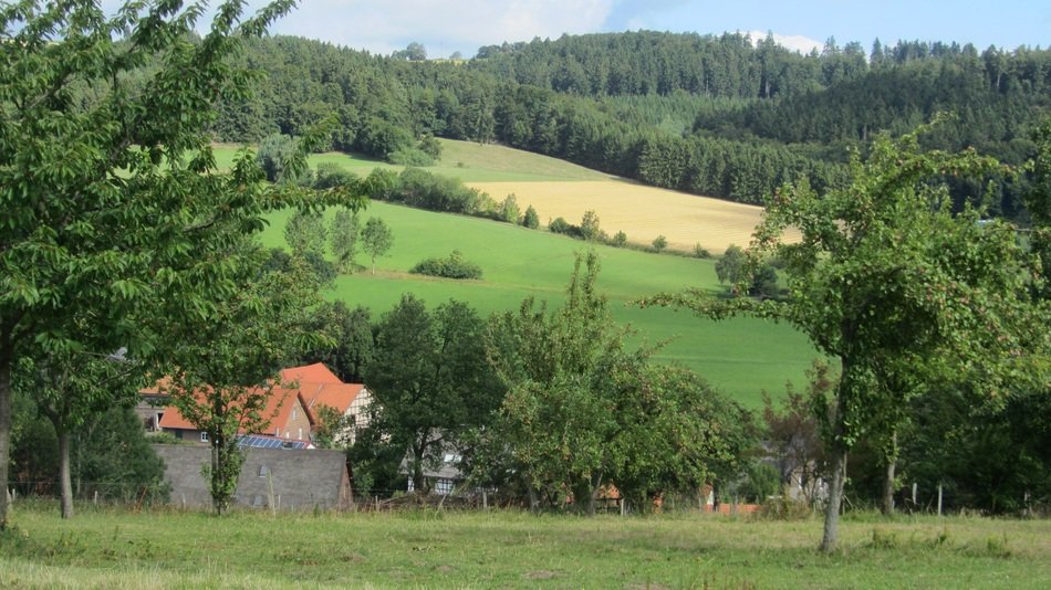 nature in the countryside