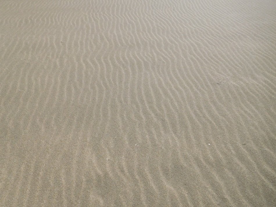 sand on the beach as a decor
