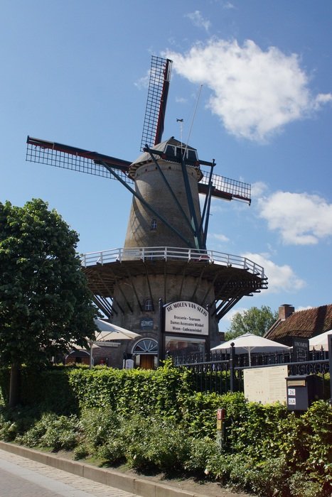 mill near green tree in zealand
