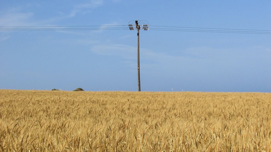 landscape of electric pole in an autumn field at Cape Greco in Cyprus