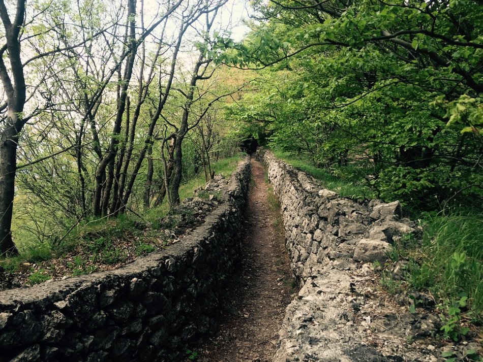 Trenches Trail