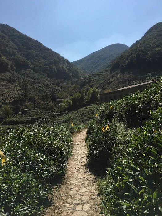Landscape of Dongbaishan