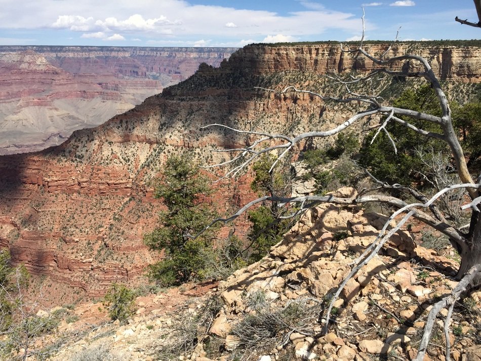 Grand Canyon mountain scene