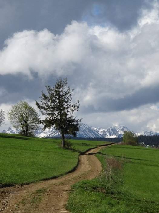 dirt road in the Polish Tatras