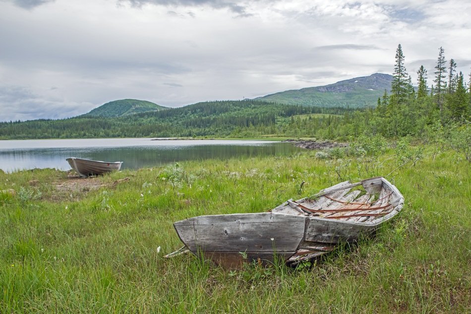old wrecked boats on the green shore of a lake in sweden