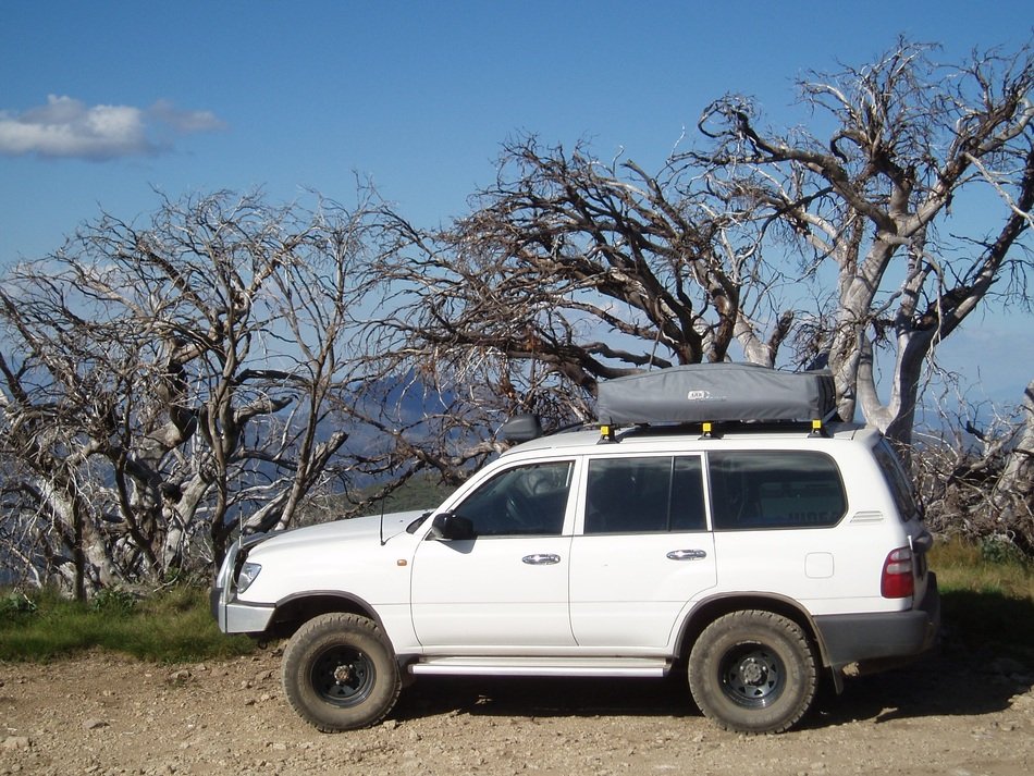 white car on soil road beneath dry trees, australia, Victorian Alps