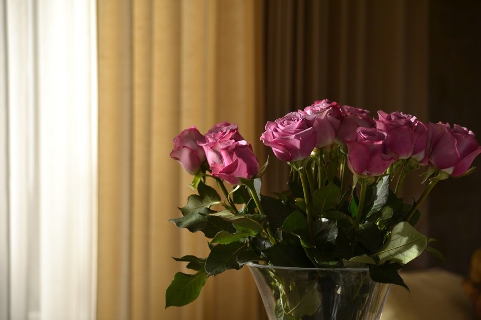 romantic rose bouquet in the vase
