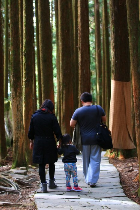 parents with a child walk in the forest