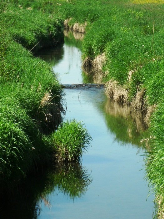 Stream The Schwarza Bach