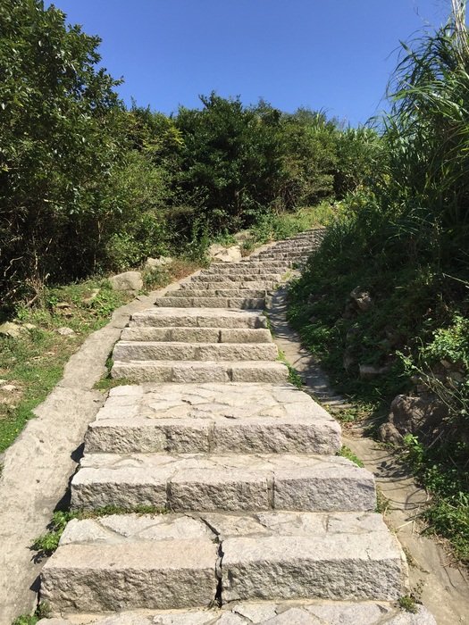 stone staircase among shrubs in Zhoushan
