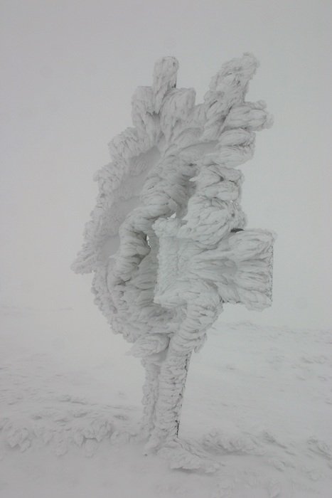 Winter Sign