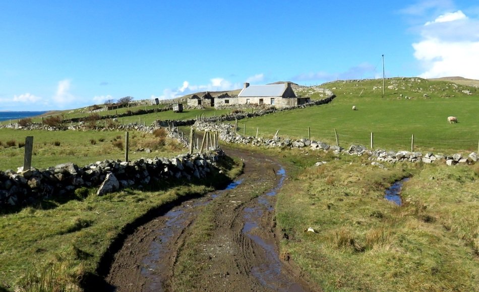 Landscape of the beautiful fields