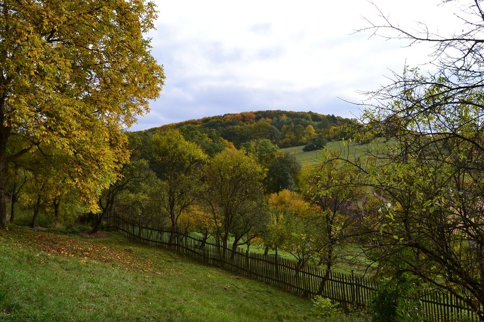 Landscape of Autumn meadows and forest