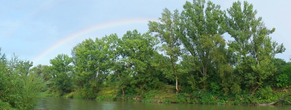 Rainbow and Green Trees River scene