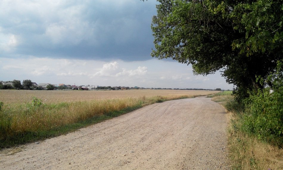 soil road at field in countryside, summer landscape