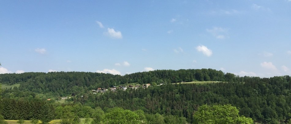 green forest on the Jura mountain range in Europe