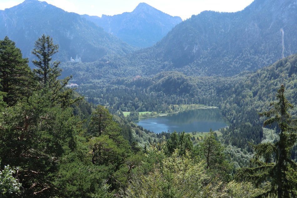 panoramic view of the lake among the alps