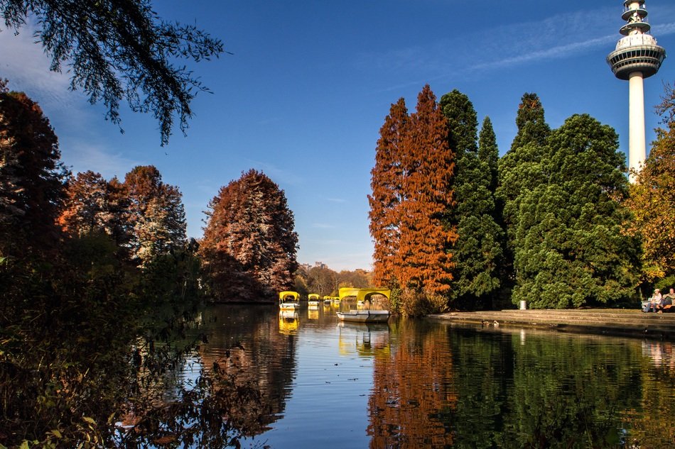 still autumn park