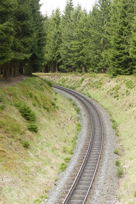 harzquerbahn among the green forest