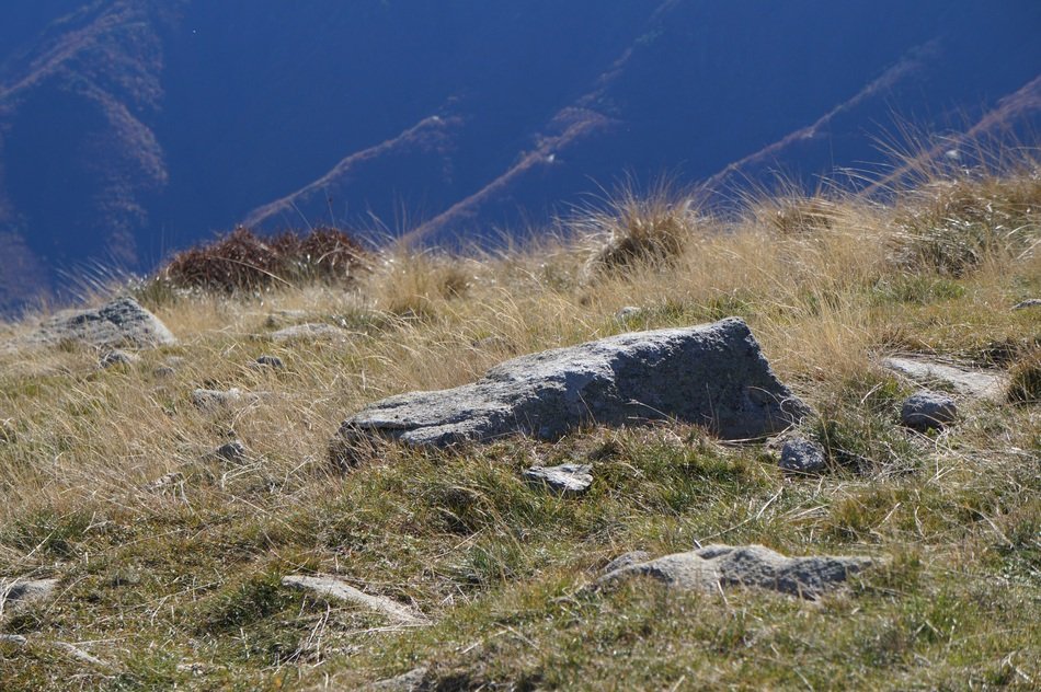 Landscape with the stones on the field