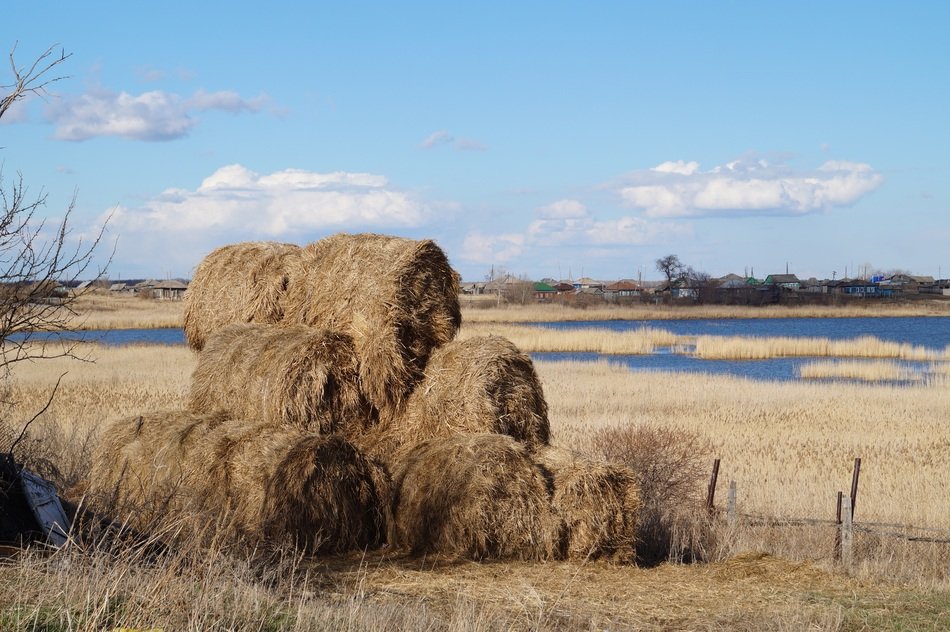 hay in the village by the river