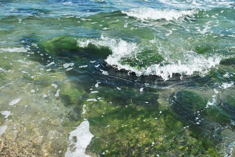 picturesque and pretty Sea Waves