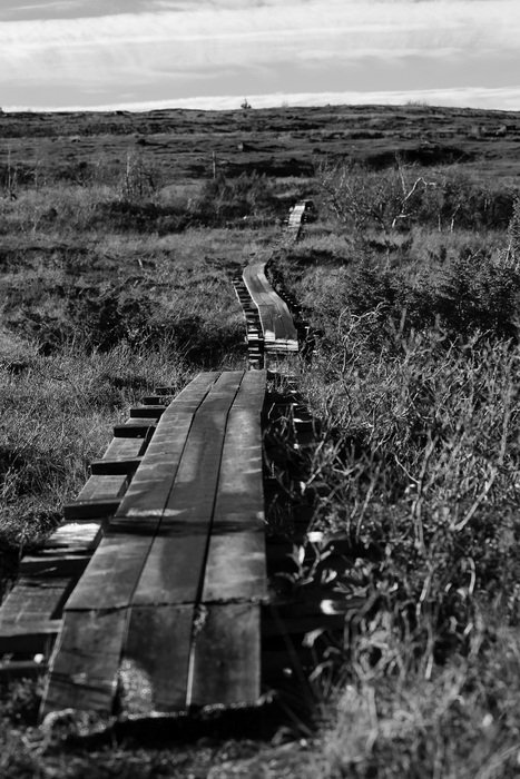 black and white photo of a wooden foot bridge