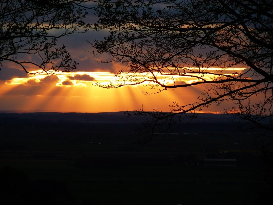 golden Sunset with Sunlight scene