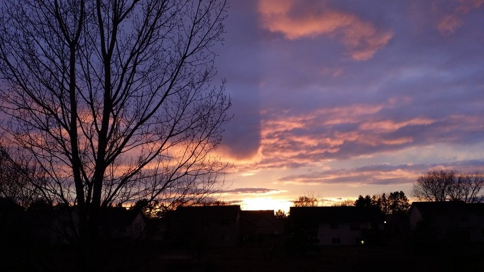 Purple sky at the sunset