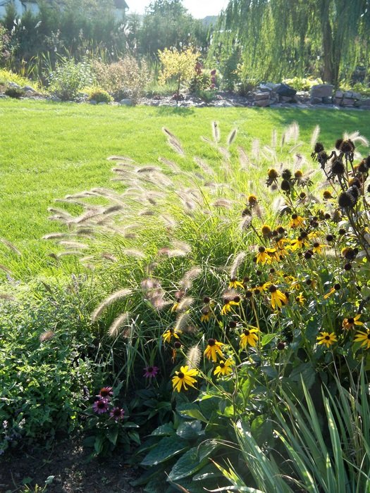 perfect beauty Grass Nature