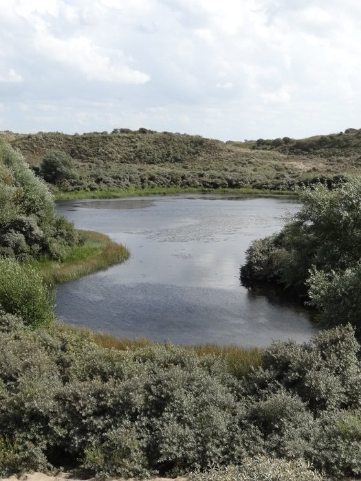 Lake In The Dunes