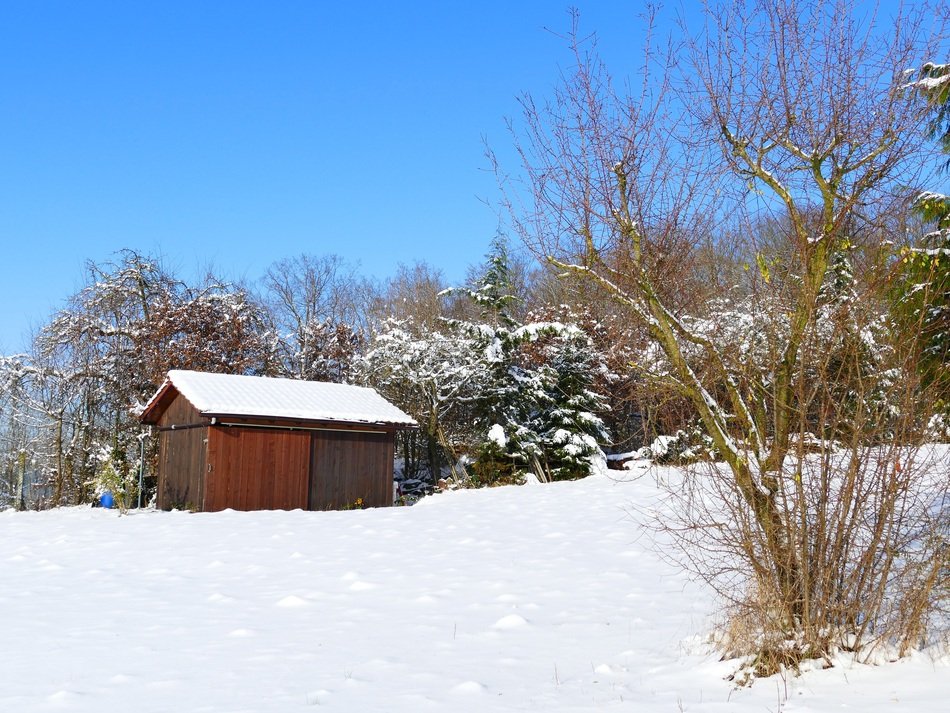 Wooden hut in snow on the beautiful landscape with plants in winter