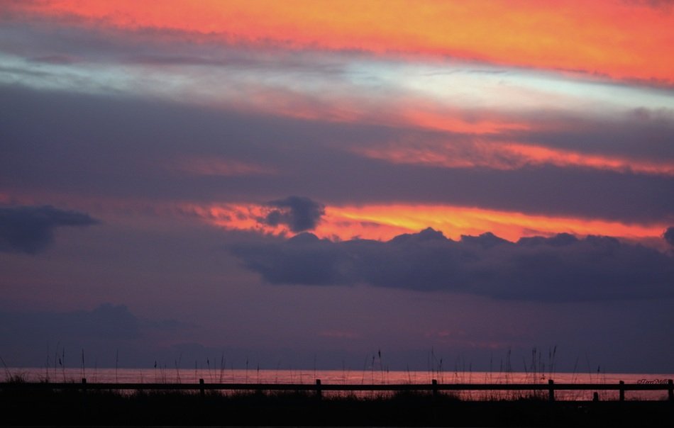 Landscape with tropical sunset