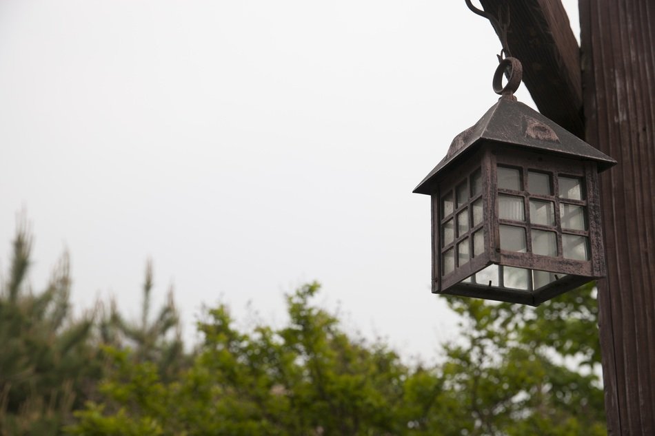 Beautiful lamp on the green tree in a forest at cloudy sky