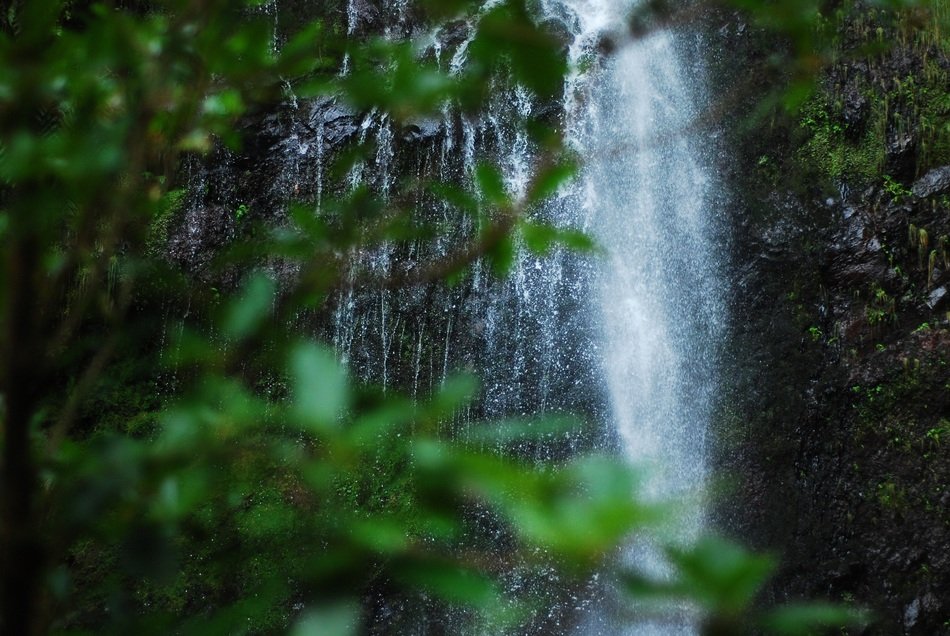 Waterfall on the mountain in the forest