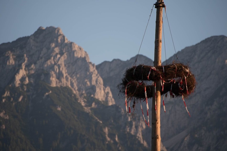 maypole with wreath at Rocky Mountains, Tyrol