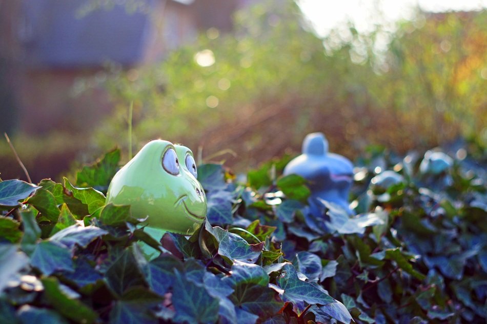 Beautiful colorful frog statues in the garden on blurred background