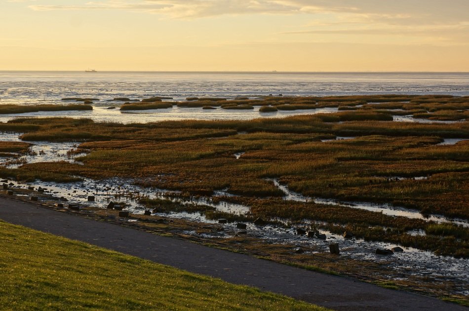 Terschelling in Netherlands