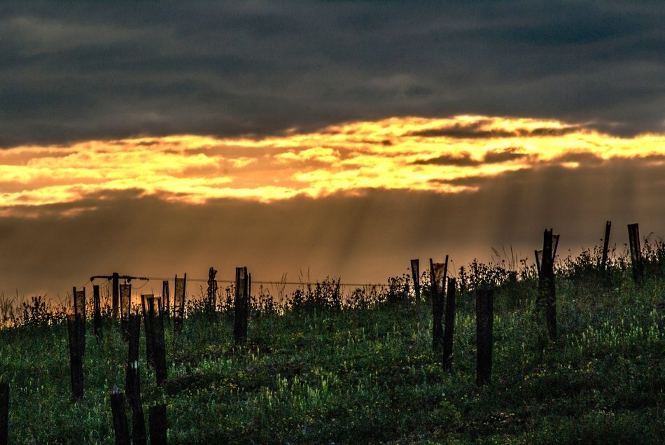 poles on the field under the evening sky
