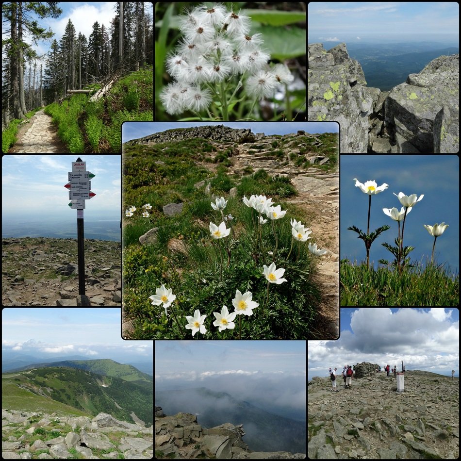 collage of photos of the top of the mountain