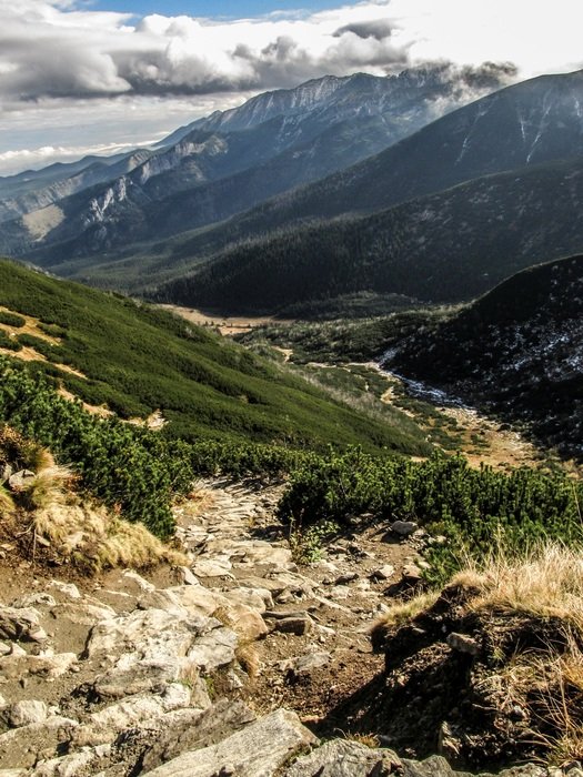 scenery of mountains covered by grass
