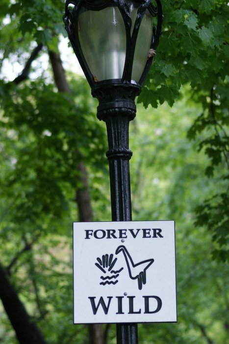 forever wild sign in the park