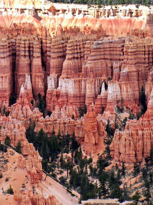 landscape of USA Cliffs of bryce canyon