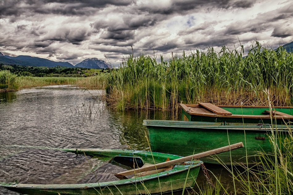boat near the reed