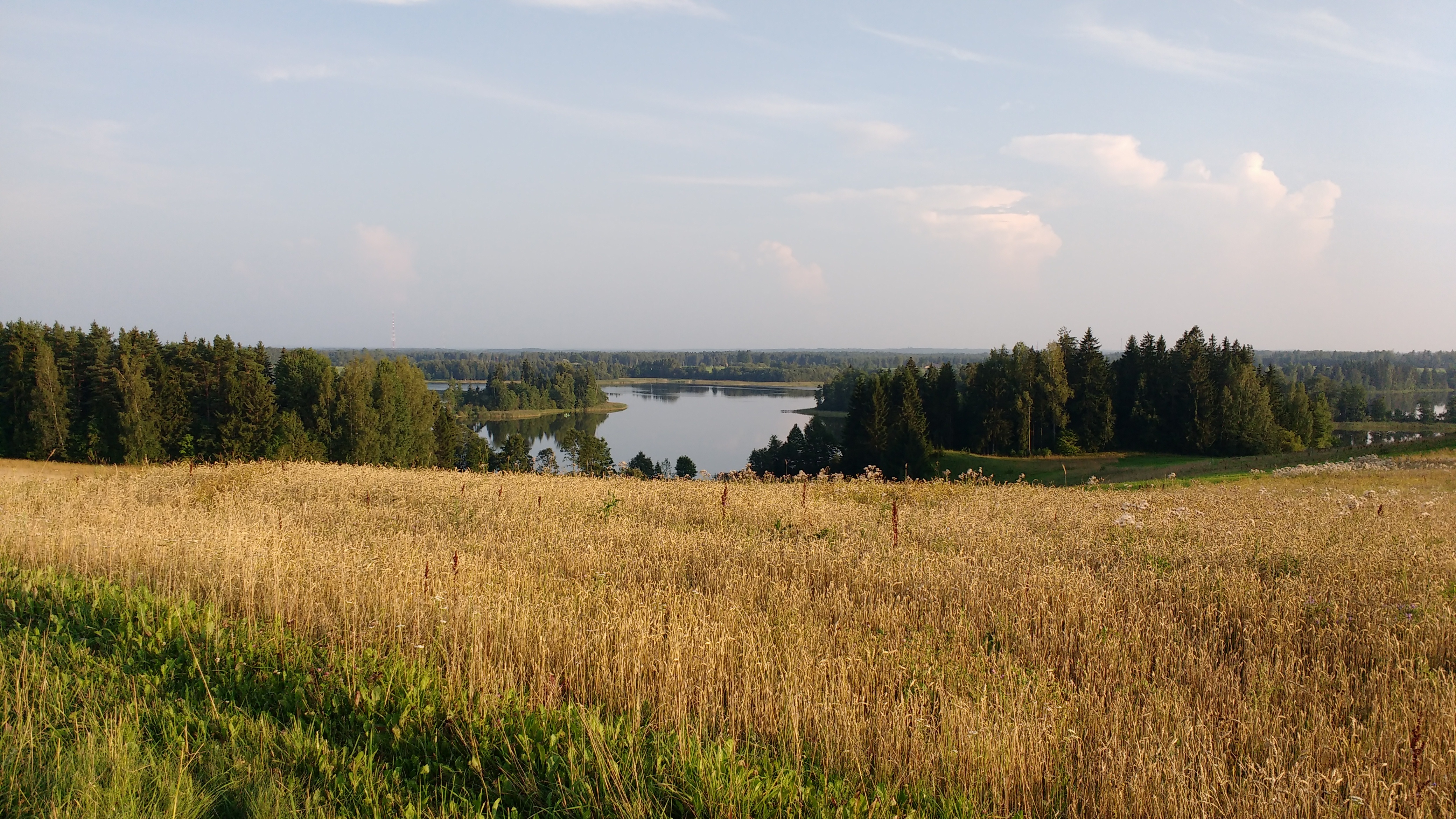 Поле возле деревни. Озеро деревня поля Лужский. Поле вдали озеро. Поле в деревне с озером. Озеро посреди поля.