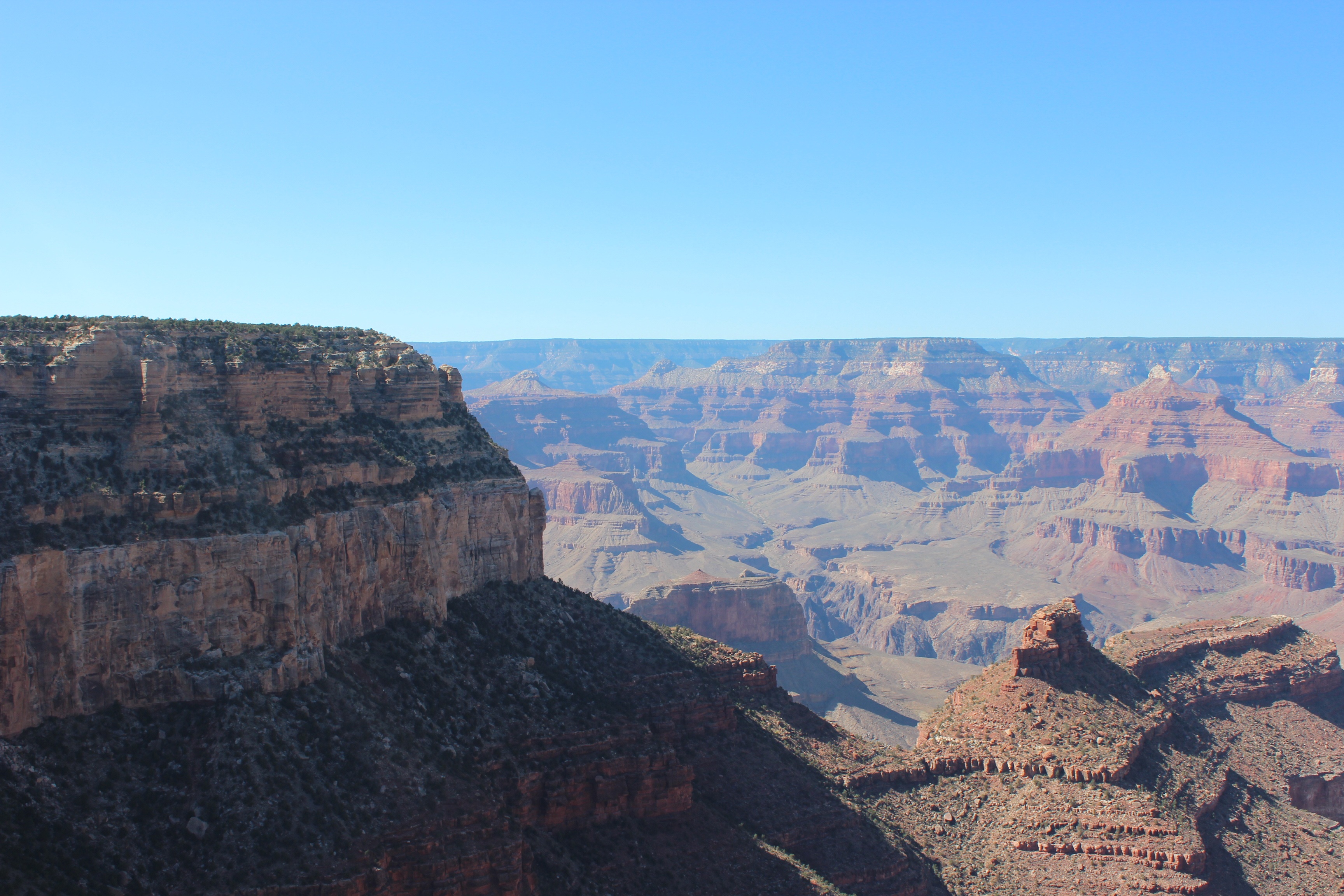 Grand Canyon summer top view free image download