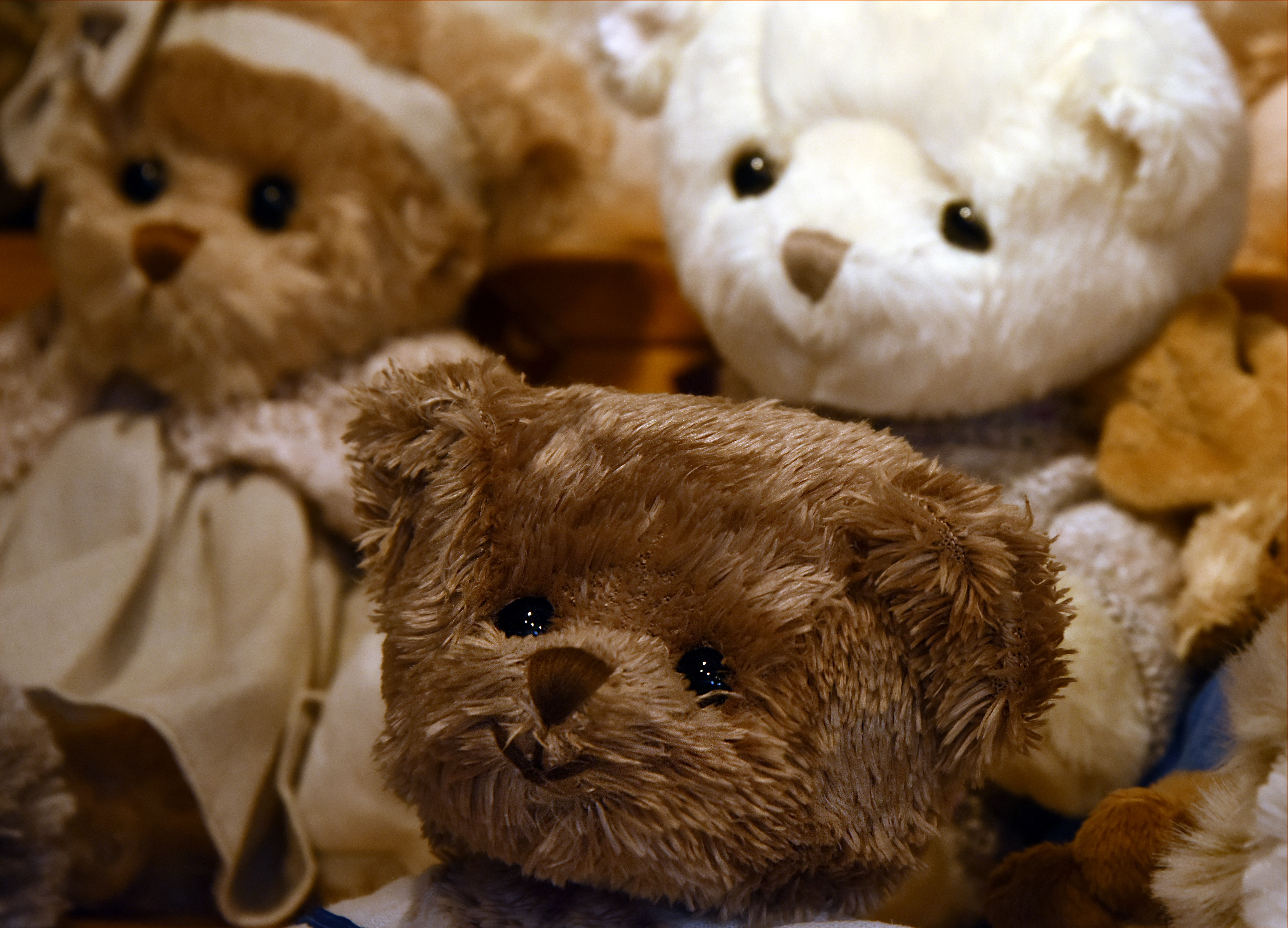 types of teddy bears