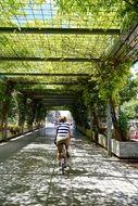 Perspective photo of bike rider