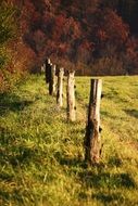 Slovakia Nature Autumn