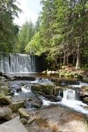 Waterfall and foamy Stream in conifer Forest